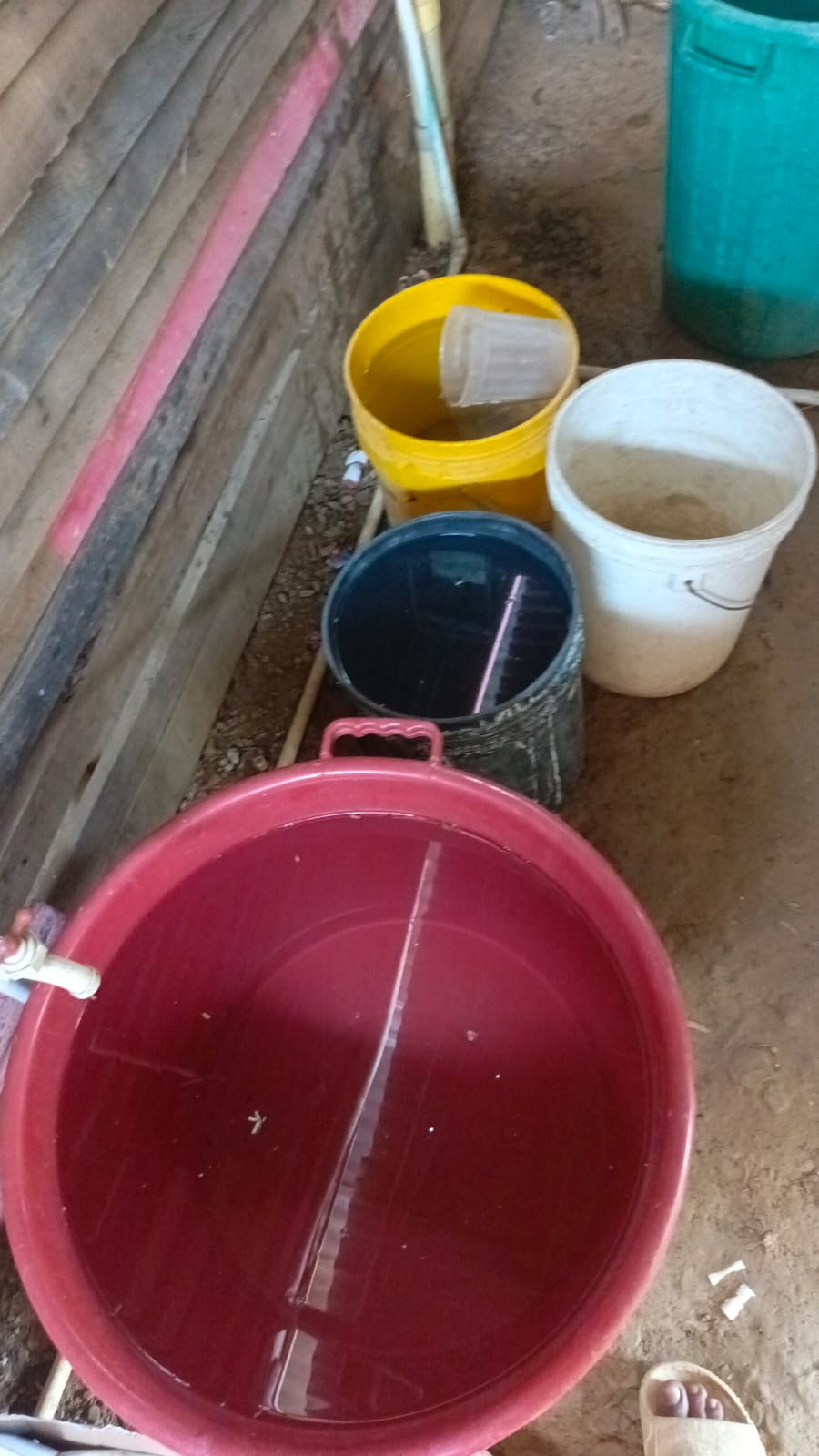 2023_12_regenwasser_spuelt_den_boden_in_jhojans_haus_weg_001.jpeg
Size: 118.11 KB
Created: 2025-09-05 15:24:45
Edited: 2024-03-24 09:55:19
Mime Type: image/jpeg