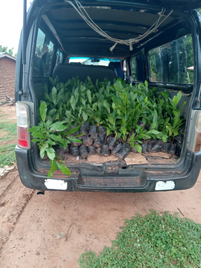 2024_03_qwesi_beginnt_als_farmer_002.jpeg
Size: 139.06 KB
Created: 2025-09-05 15:25:51
Edited: 2024-03-24 09:56:54
Mime Type: image/jpeg